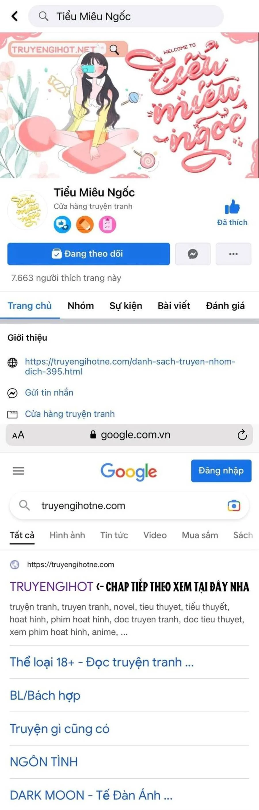 Truyện VI