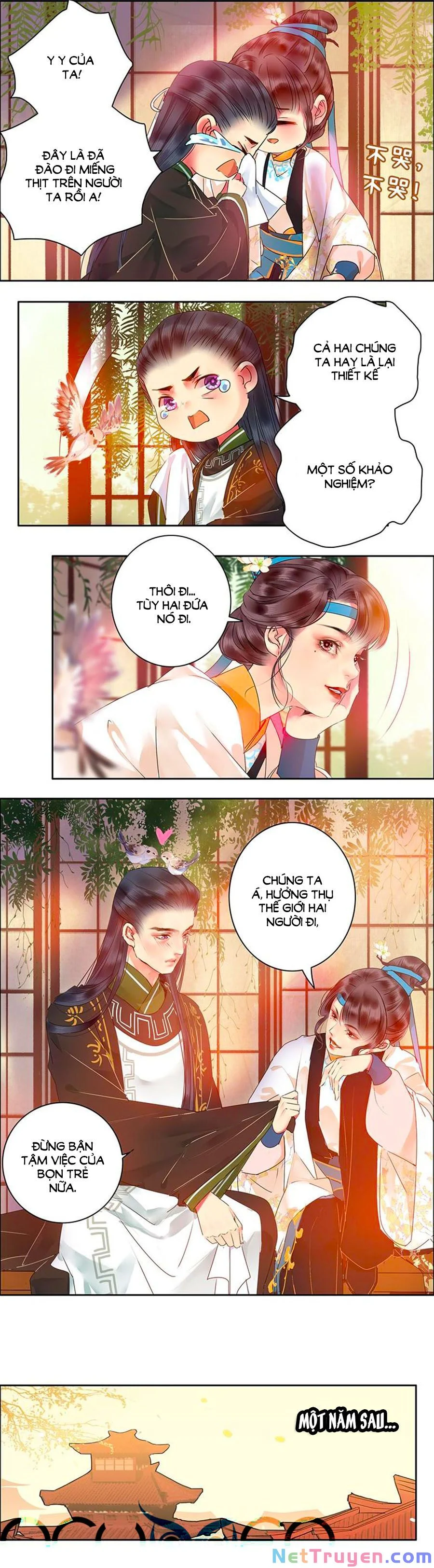 Truyện VI