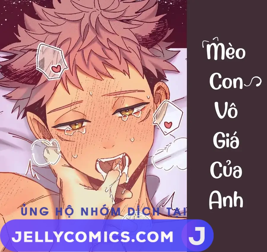 Mèo Con Vô Giá Của Anh