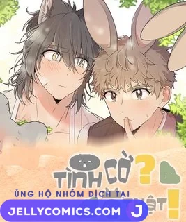Tình Cờ Thật?!