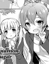 Cinnamon Sugar