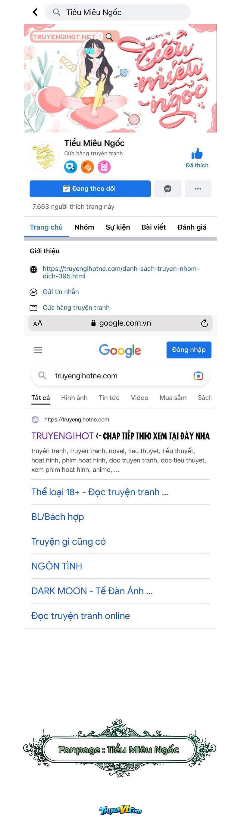 Truyện VI
