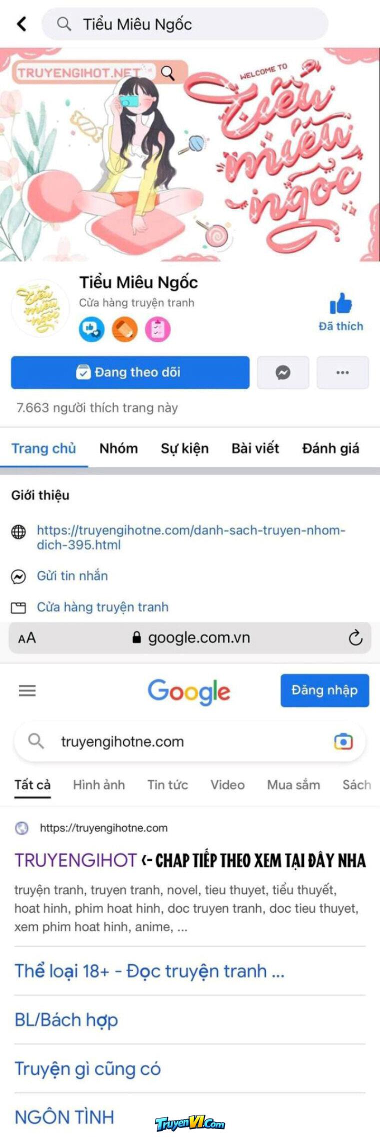 Truyện VI