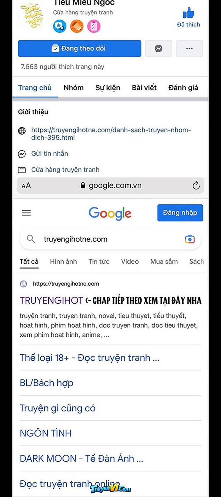 Truyện VI