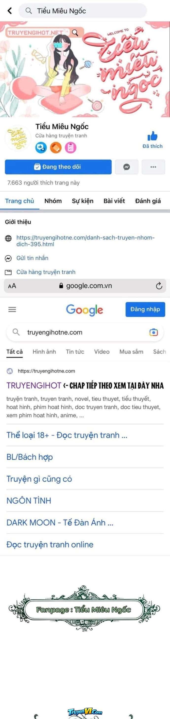 Truyện VI