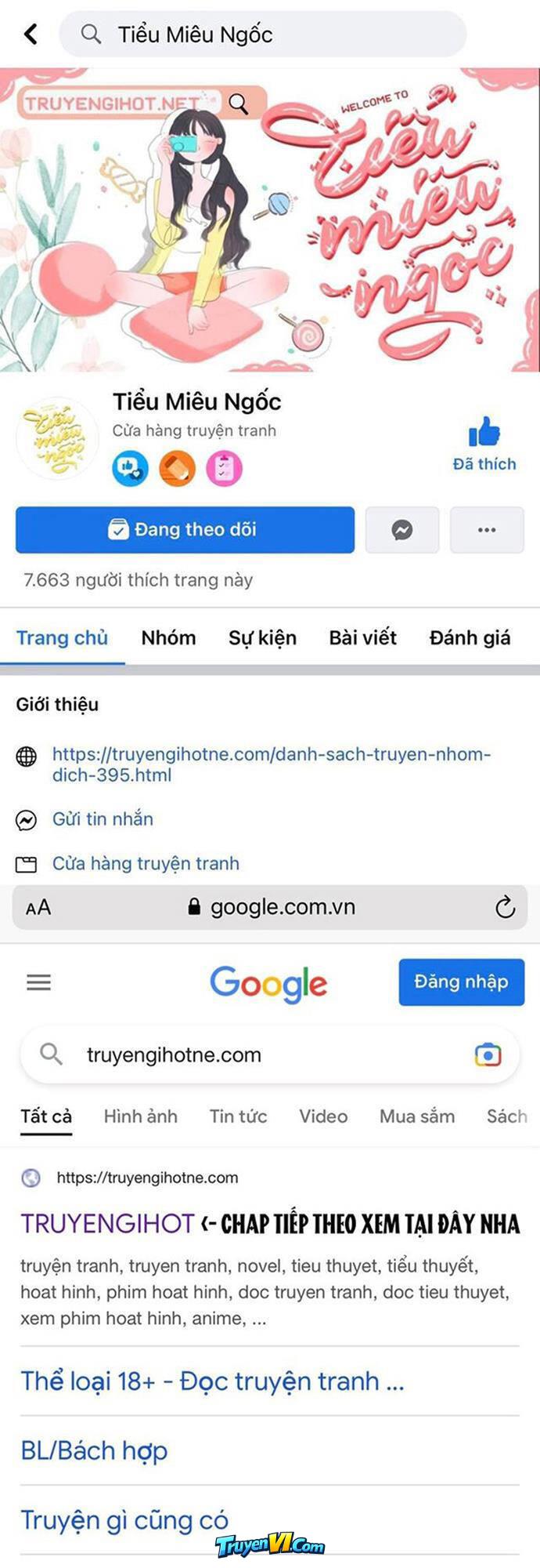 Truyện VI