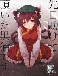 Senjitsu Tasukete Itadaita Kuroneko Desu. (Touhou)