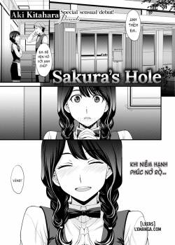 Sakura’s Hole
